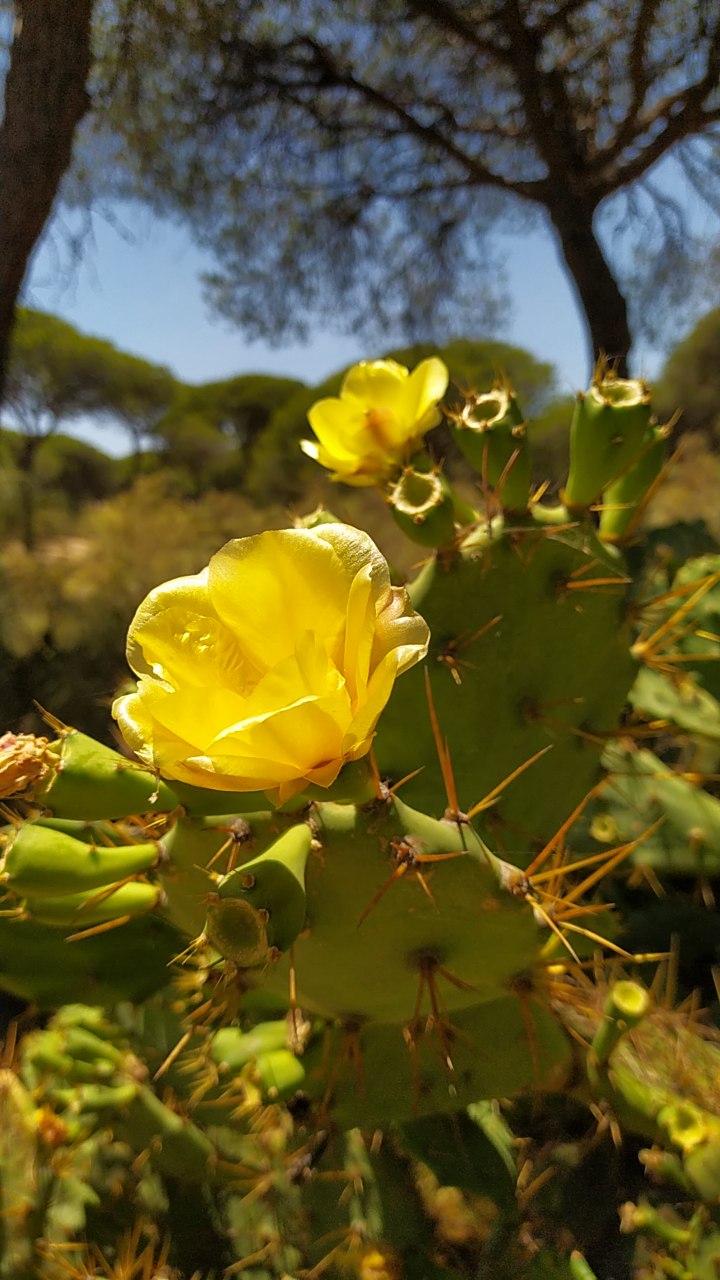 Zwischen Therapeut und Klient darf die "Chemie" nicht gestört sein. Profitieren sollen Sie als Klient. Das funktioniert besonders gut, wenn Sie dem Therapeuten vertrauen.